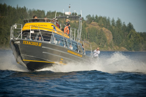 37' water taxi/ tour vessel