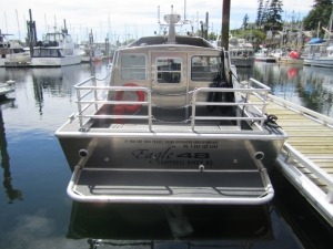 28' water taxi